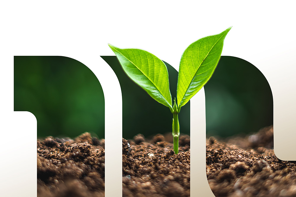 MR-Sustainability-Report-2025